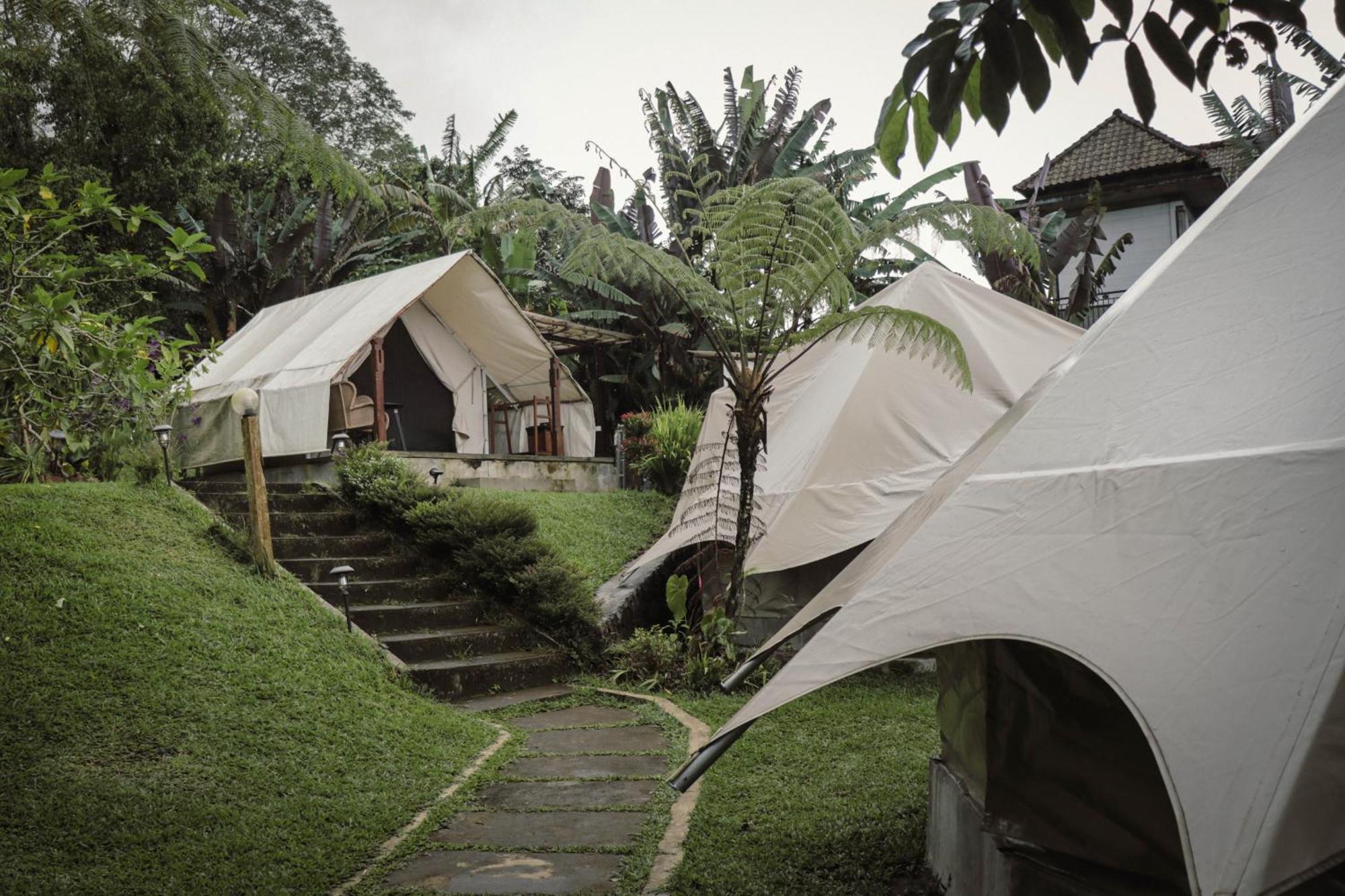 Alamu Eco Lodge ブドゥグル エクステリア 写真
