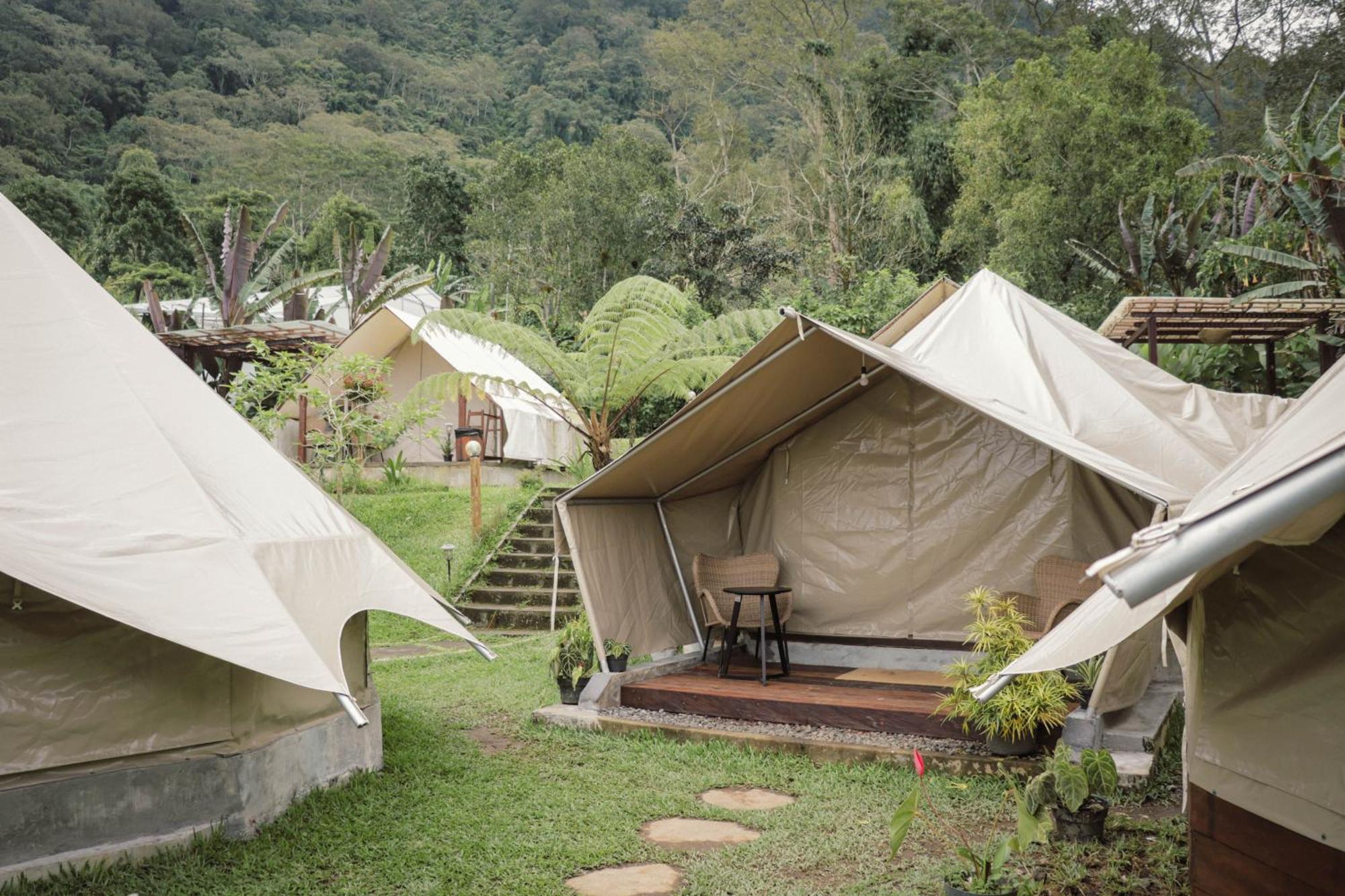 Alamu Eco Lodge ブドゥグル エクステリア 写真