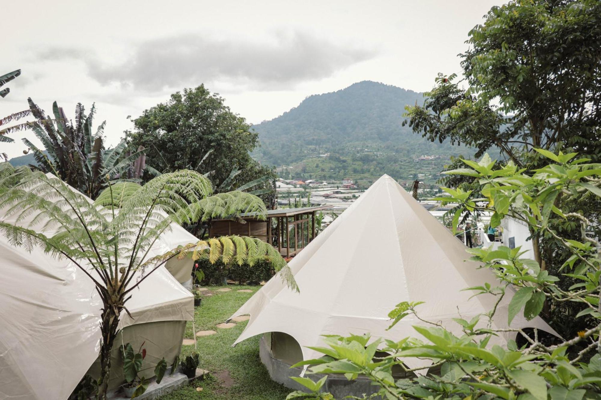 Alamu Eco Lodge ブドゥグル エクステリア 写真