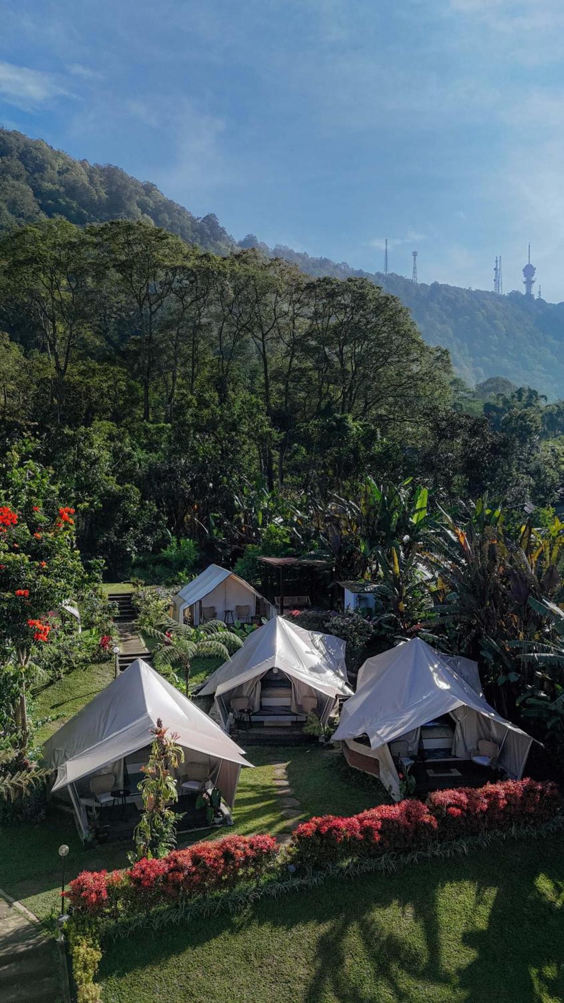 Alamu Eco Lodge ブドゥグル エクステリア 写真