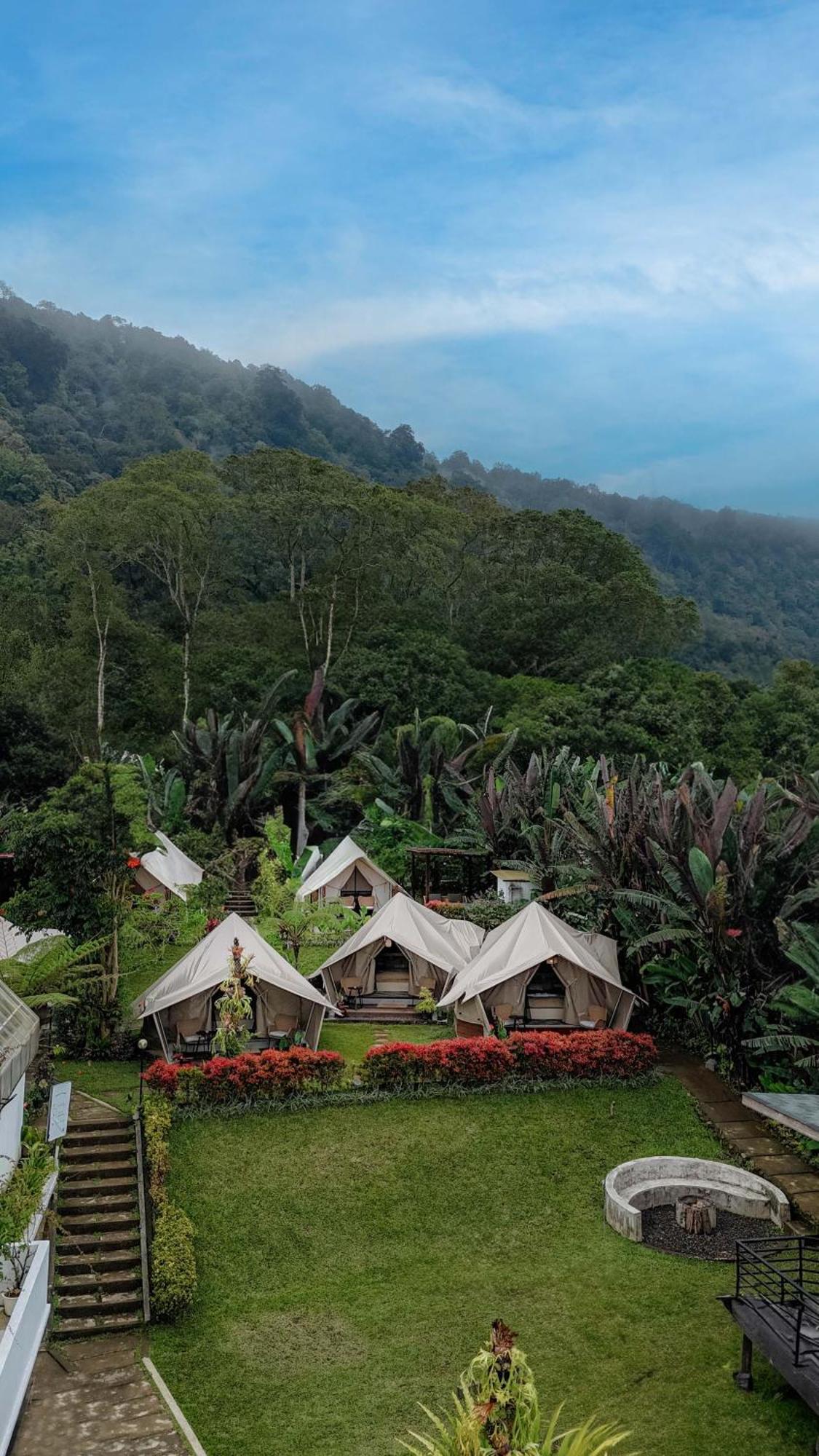 Alamu Eco Lodge ブドゥグル エクステリア 写真