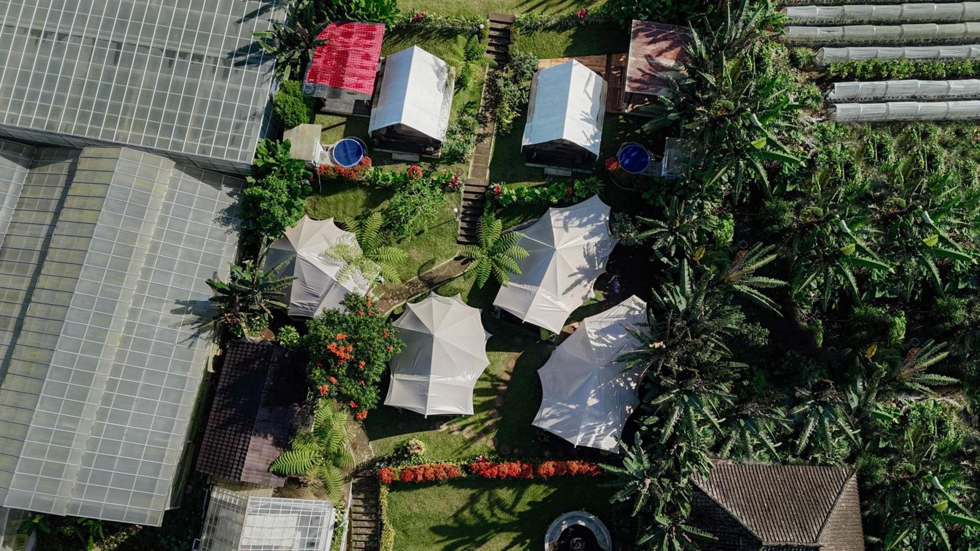 Alamu Eco Lodge ブドゥグル エクステリア 写真