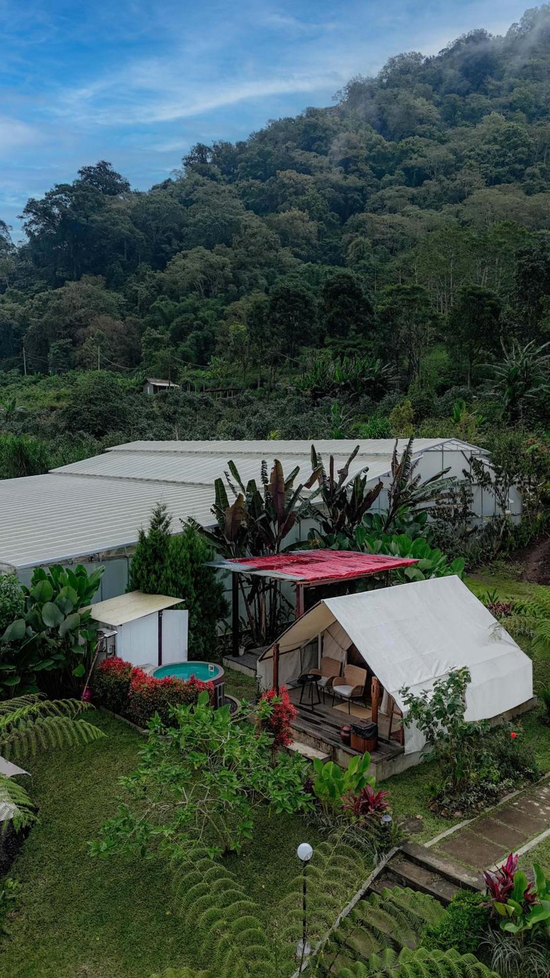 Alamu Eco Lodge ブドゥグル エクステリア 写真