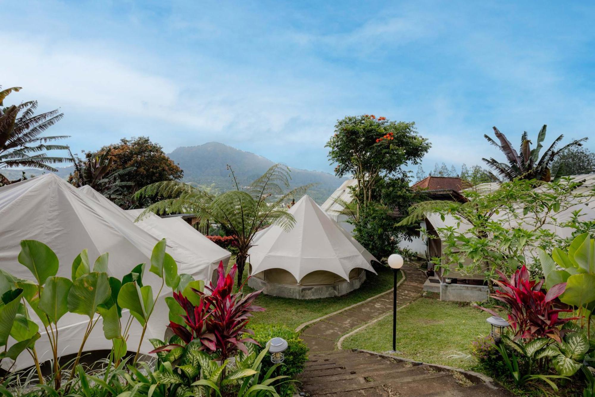 Alamu Eco Lodge ブドゥグル エクステリア 写真