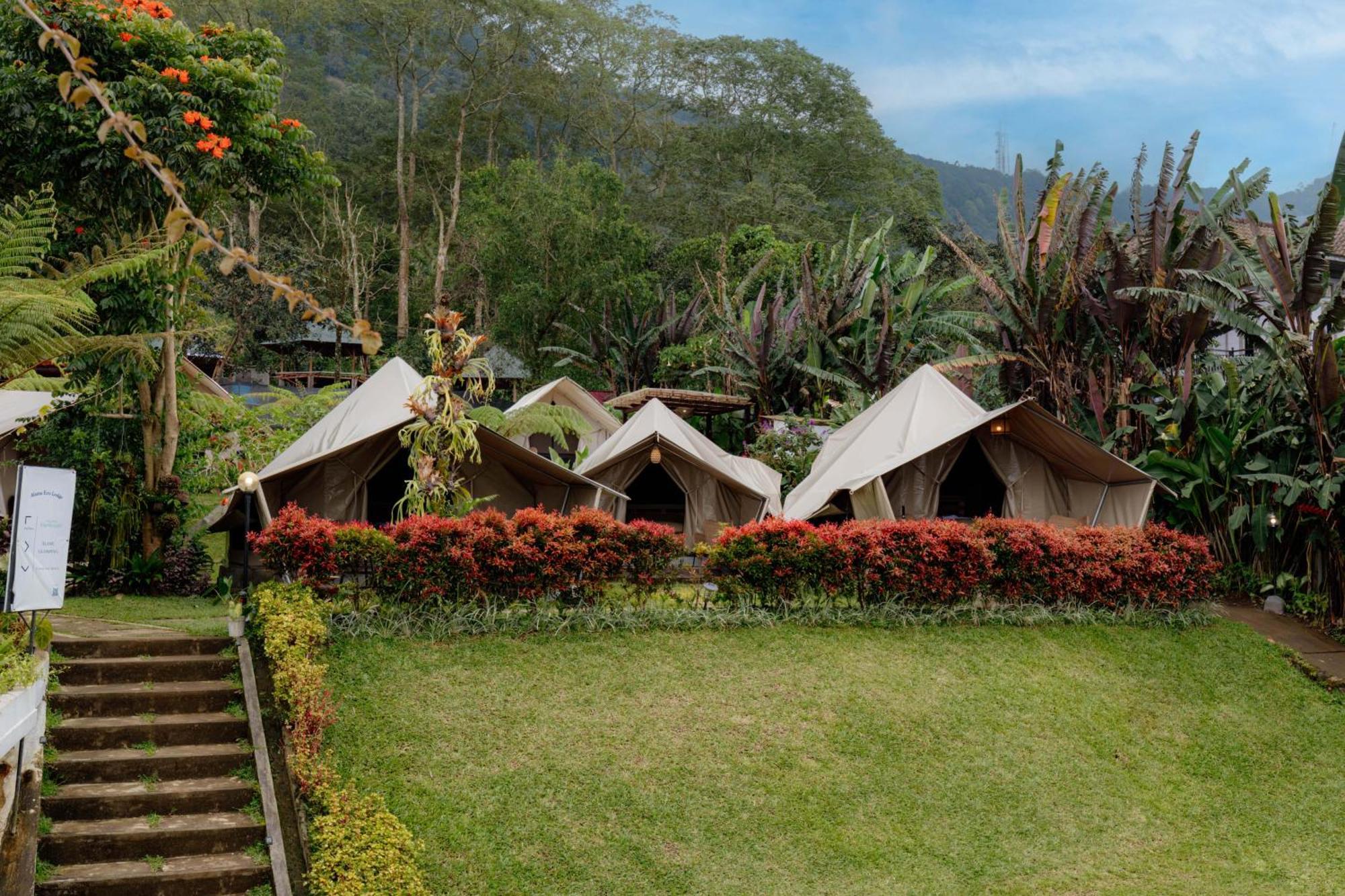 Alamu Eco Lodge ブドゥグル エクステリア 写真