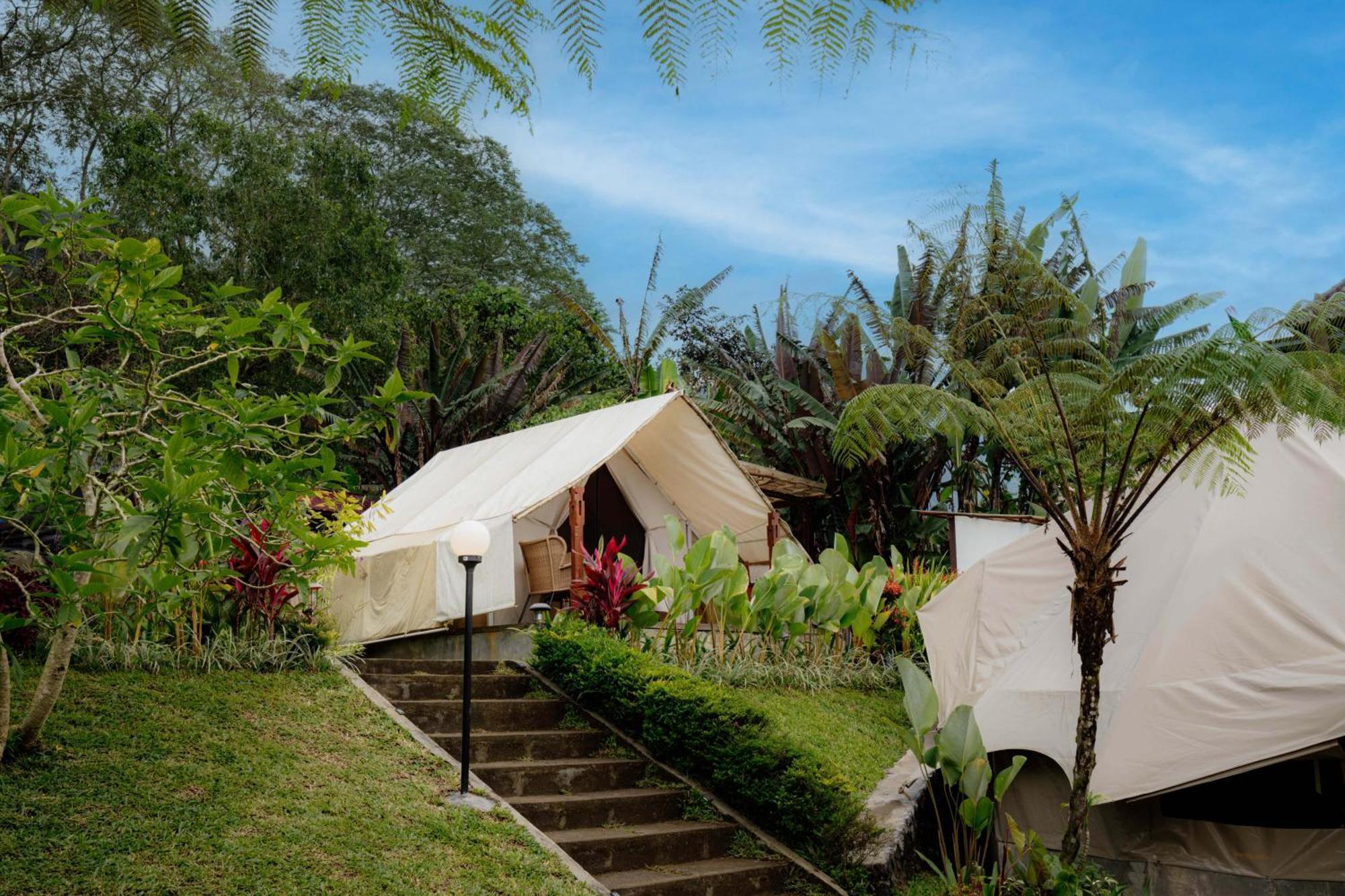 Alamu Eco Lodge ブドゥグル エクステリア 写真